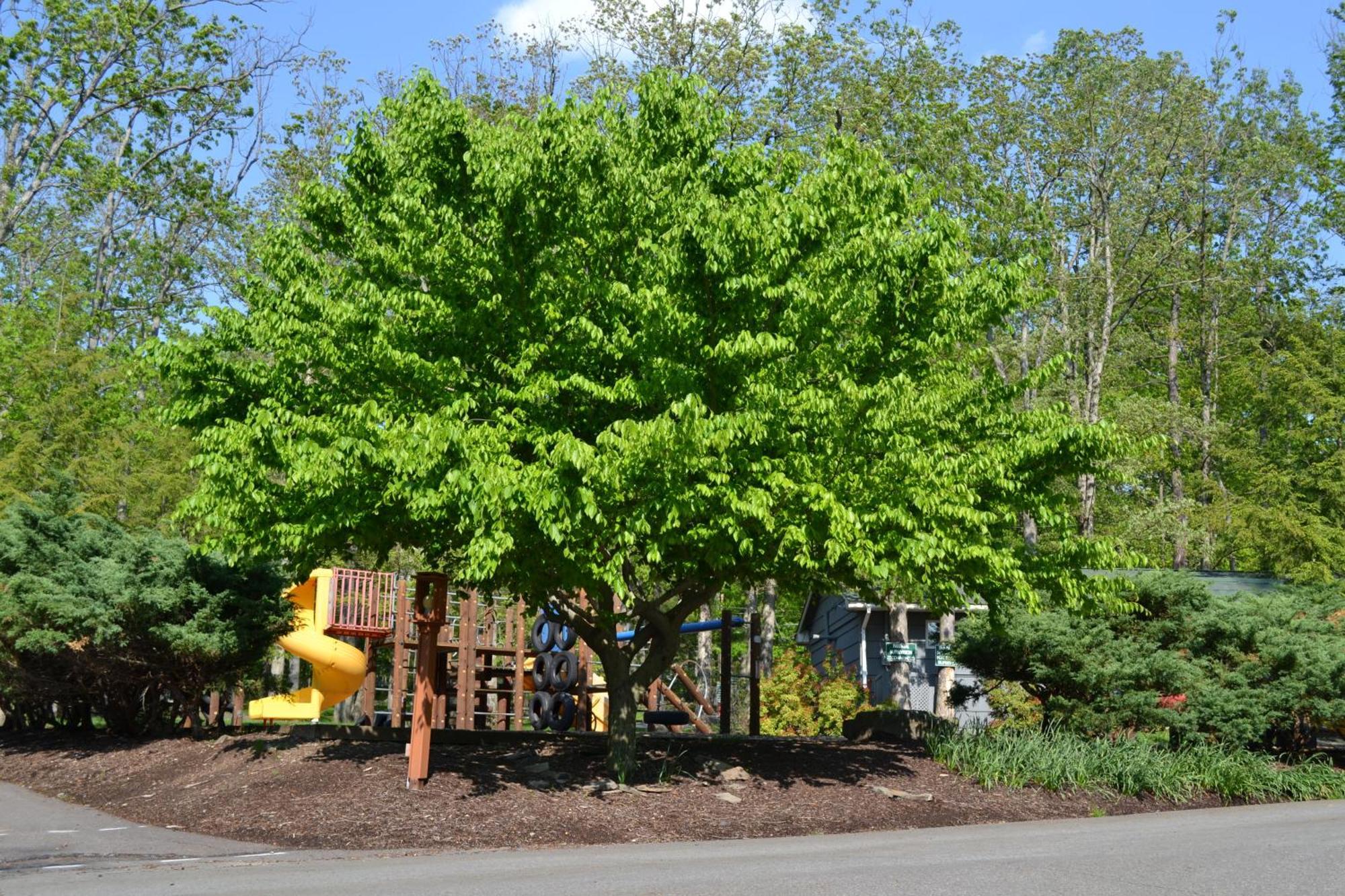 Woodloch Pines Resort Hawley Exterior photo